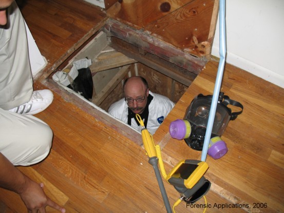 Trap Door