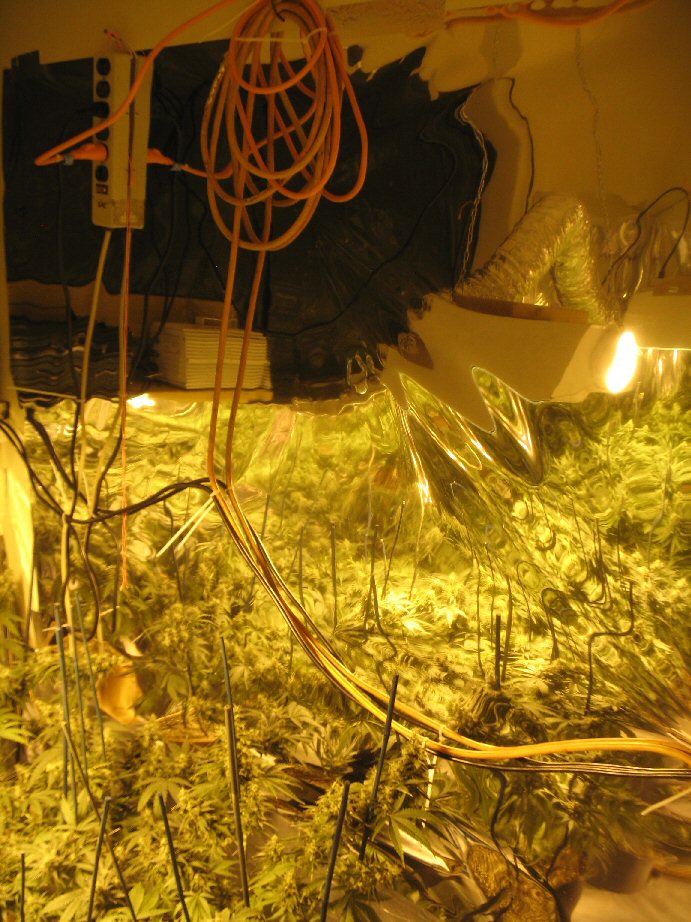 [Electrical Hazards]
